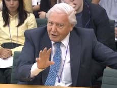 David Attenborough tells MPs the hard truth about climate change