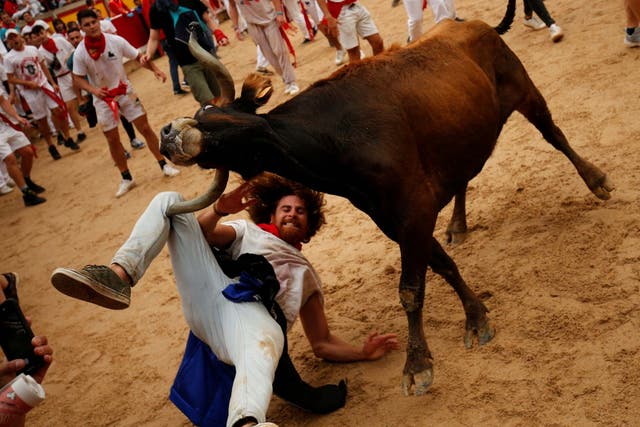A bull hits a reveller after being taunted in the bullring at the San Fermin festival