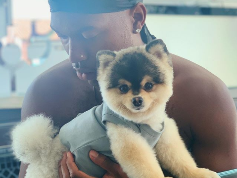 Daniel Sturridge pictured with his dog