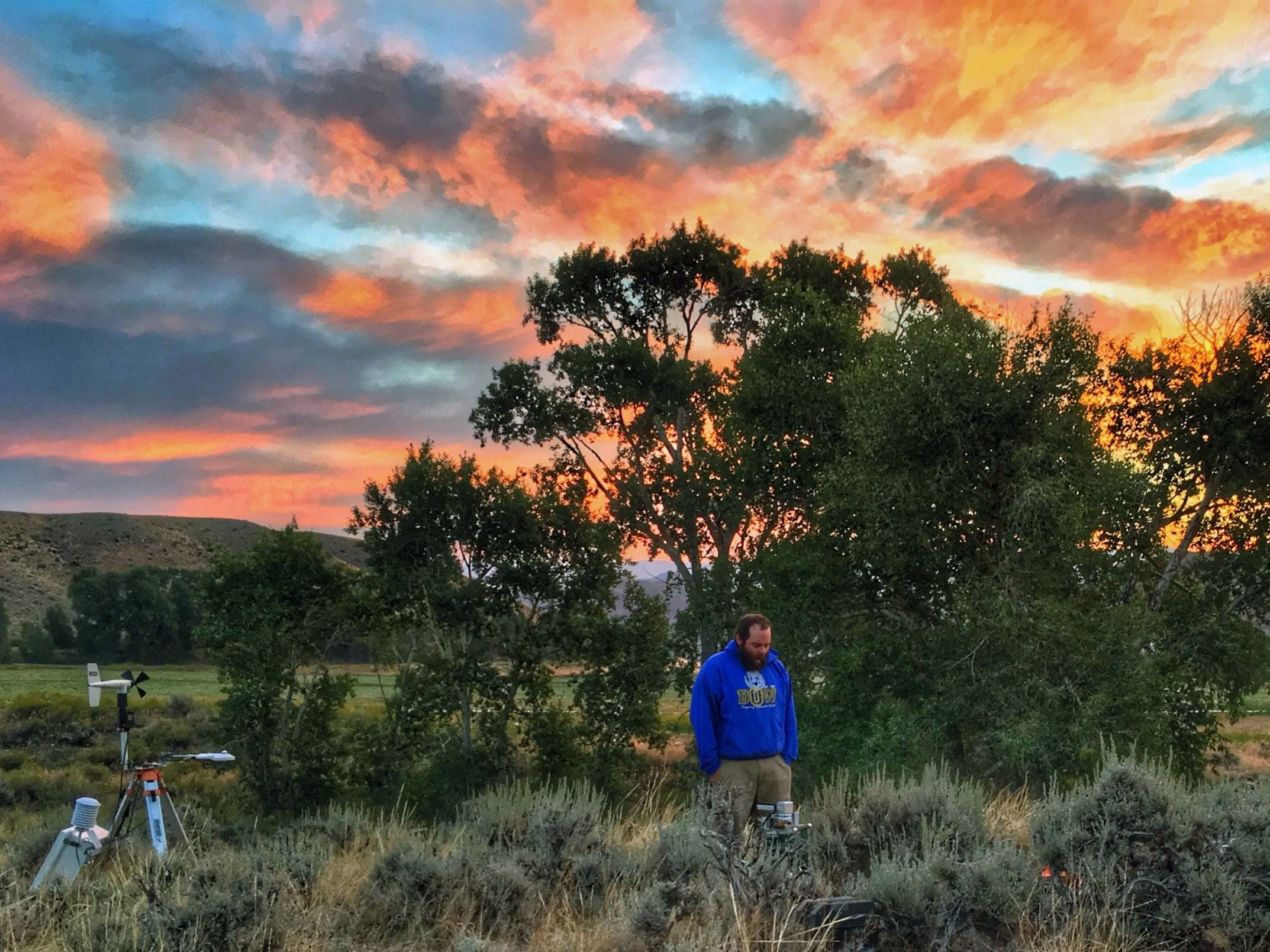 Daniel Beverly, a PhD candidate at the University of Wyoming, checks on sagebrush and instruments at sunrise near Yellowstone National Park