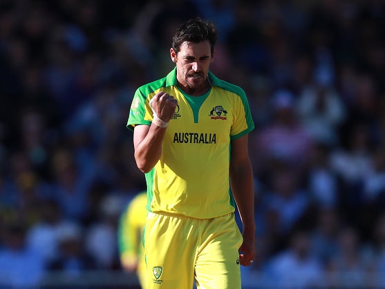 Mitchell Starc has already taken 26 wickets during the World Cup thus far