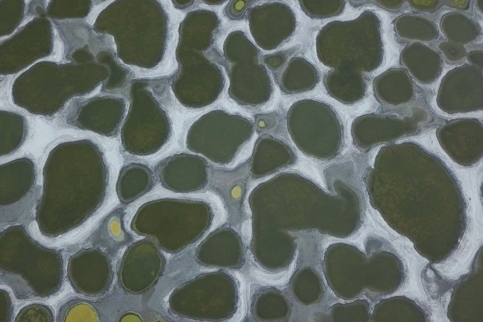 Canada's Spotted Lake is the ultimate lunar landscape
