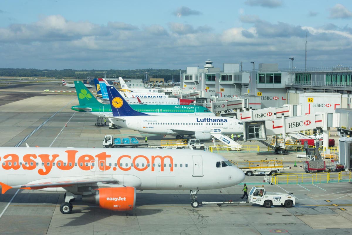 Gatwick flight delays: Passengers hit with long waits and crowding after airport suspends flights