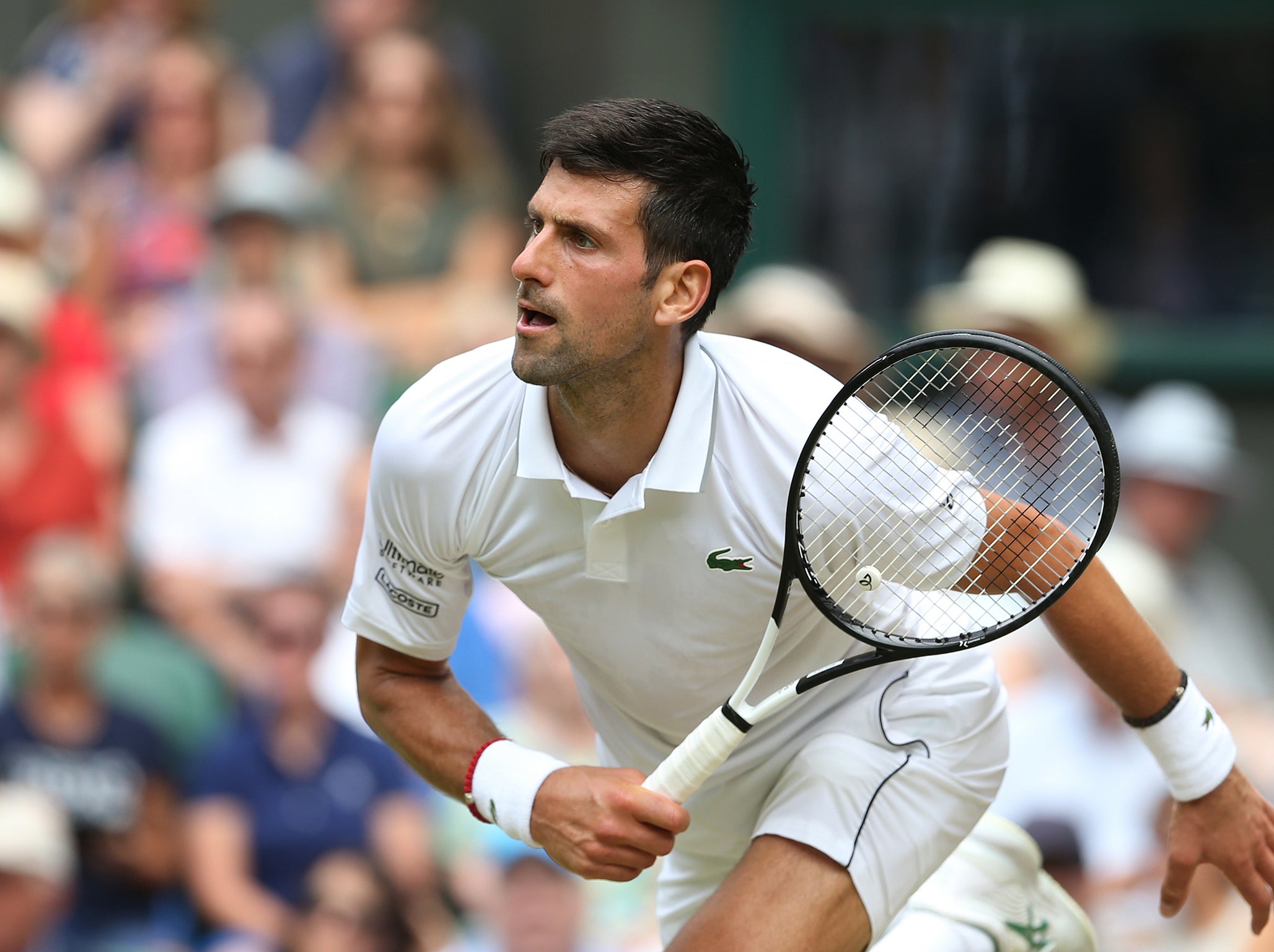 Wimbledon 2019 Novak Djokovic the pick of the ‘Big Three’ heading into