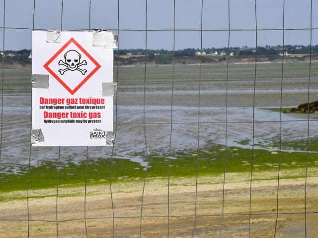 A sign warns of toxic seaweed at Vallais beach in Saint-Brieuc, northwestern France, on 10 July 2019.