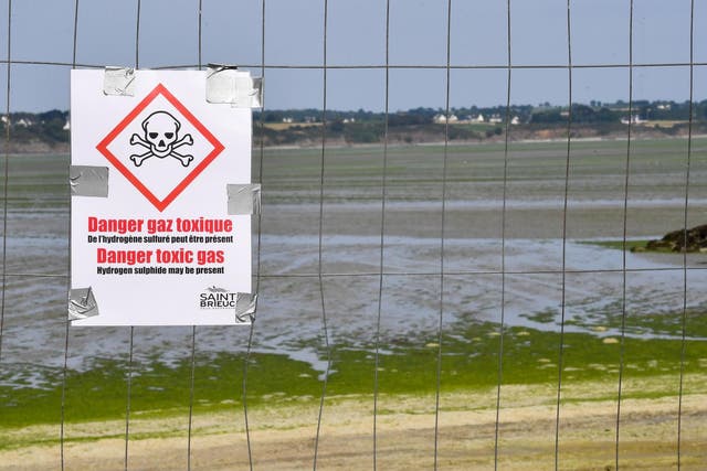 A sign warns of toxic seaweed at Vallais beach in Saint-Brieuc, northwestern France, on 10 July 2019.