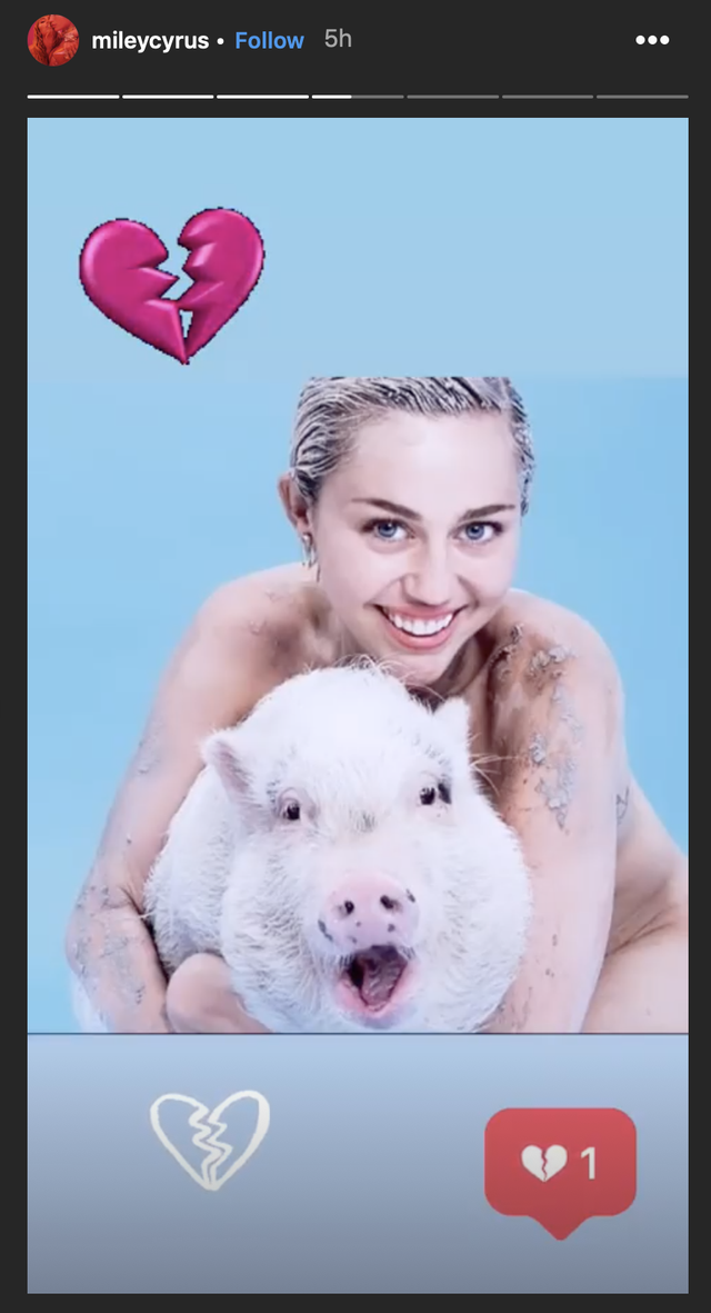 Miley Cyrus reveals her pet pig has died with touching Instagram