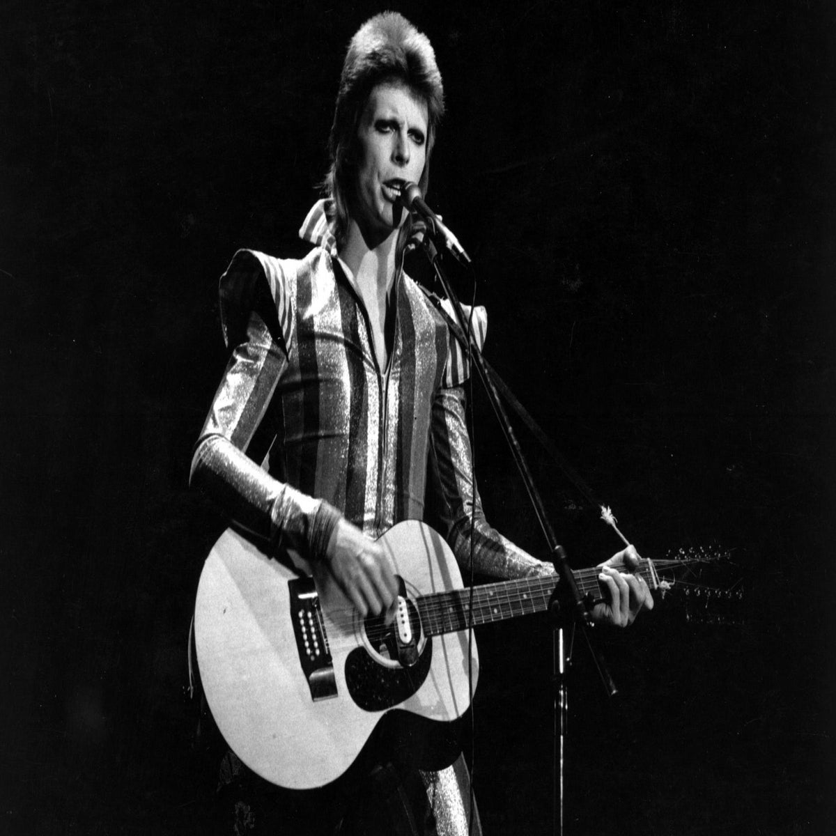 David Bowie Kansai Yamamoto Ziggy Stardust Earrings