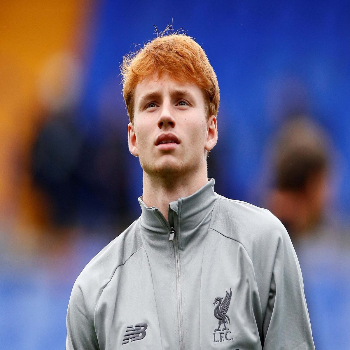 Liverpool transfer news: New signing Sepp Van Den Berg forced to wait for  Reds debut | The Independent | The Independent