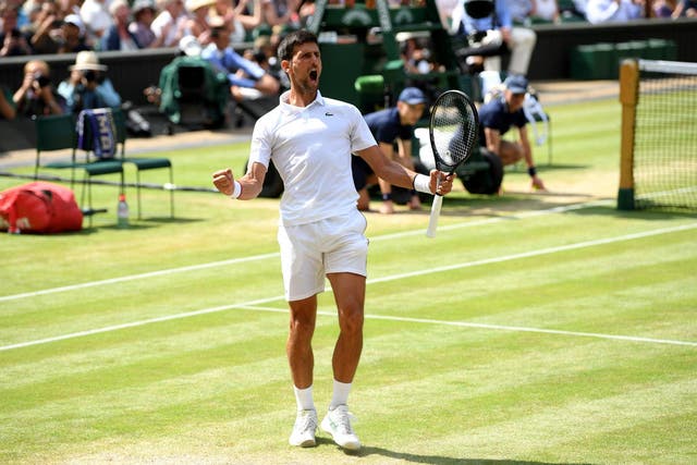Djokovic has no weaknesses to his game