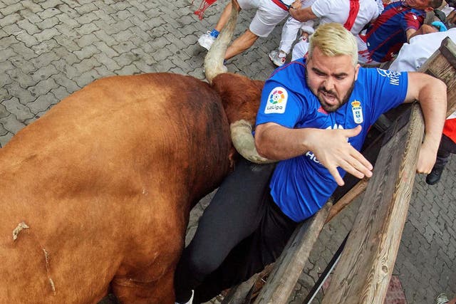 A man is caught by a bull's horn and trapped against a wall at the last run of this year's festival
