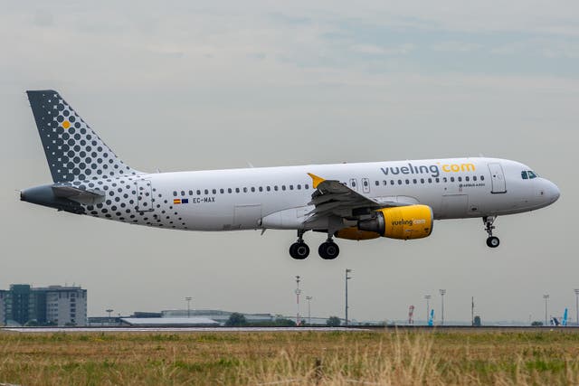 <p>A Vueling plane landing at Paris Charles de Gaulle airport </p>