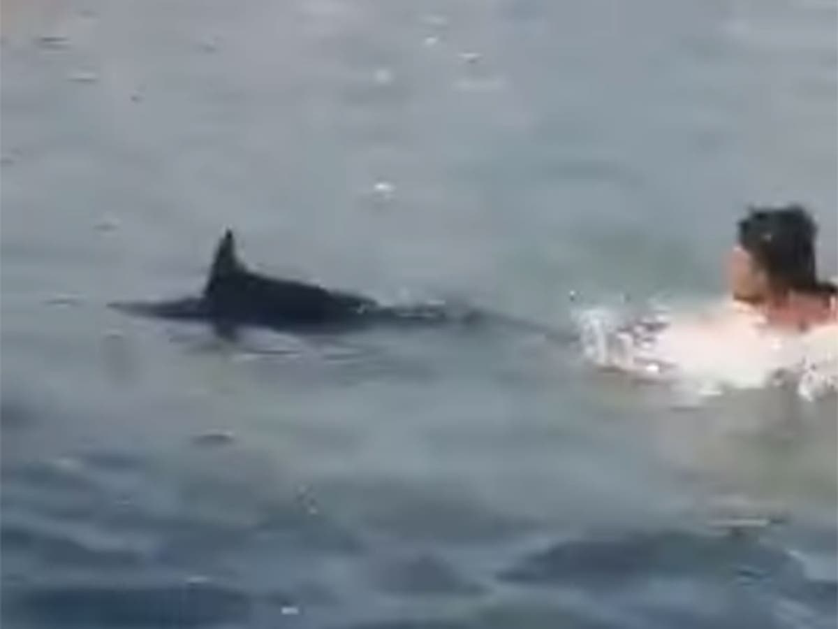 Outrage after swordfish ‘stoned to death’ by tourists on Greek beach