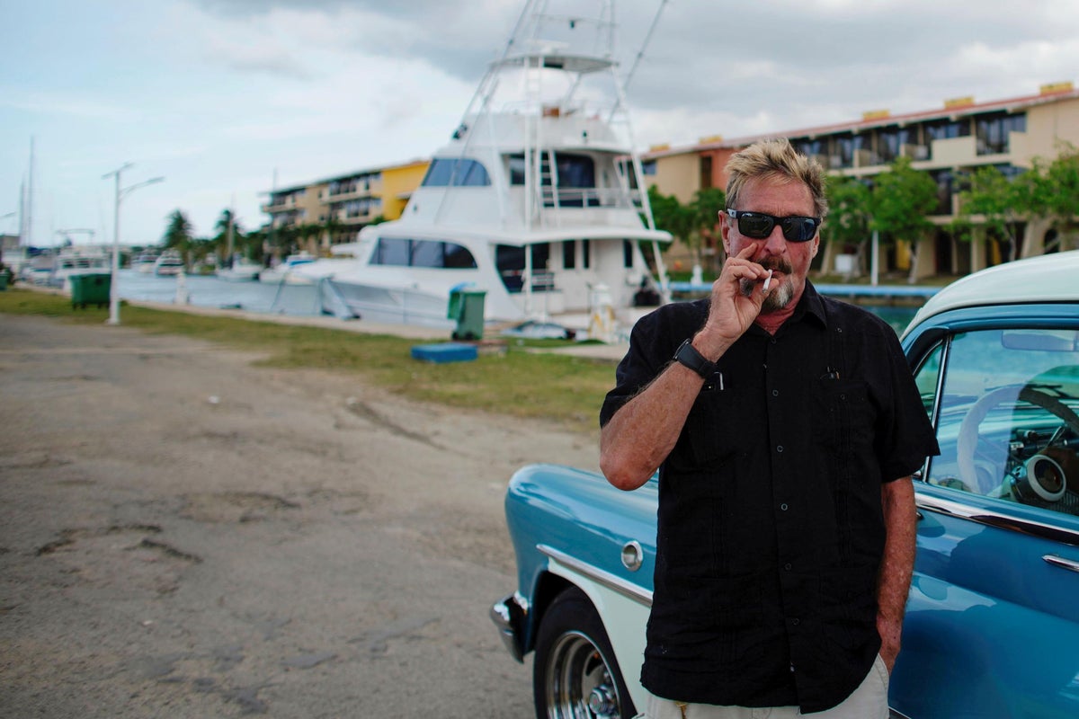 Bitcoin price dips towards $10,000 but John McAfee stands by $1m  cryptocurrency bet | The Independent | The Independent