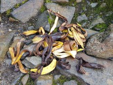Stop dropping banana skins on mountain paths, walkers told