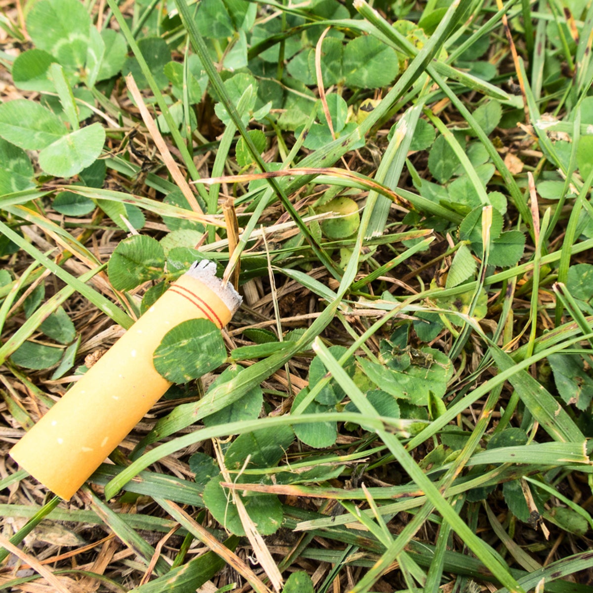 green cigarette butt Greenbutts, LLC (@Greenbutts) Facebook piece flame retardant polyethylene construction opens easily and includes a 1 gallon galvanized bucket for quick cleaning. GREEN CIGARETTE BUTT RECEPTACLE JUSTRITE