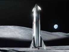 SpaceX is building Mars spaceports, Elon Musk reveals