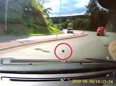 Driver filmed dropping kitten out of car window on busy road