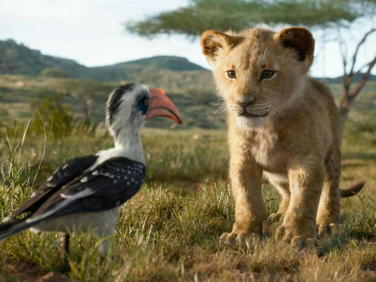 The Lion King Cast Anyone Can Identify With These Characters The Independent The Independent