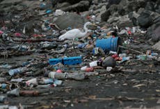 Oil industry pumping £300bn into producing more plastic despite global moves to slash waste, report finds