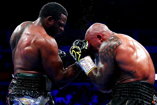 Dillian Whyte wins live boxing
