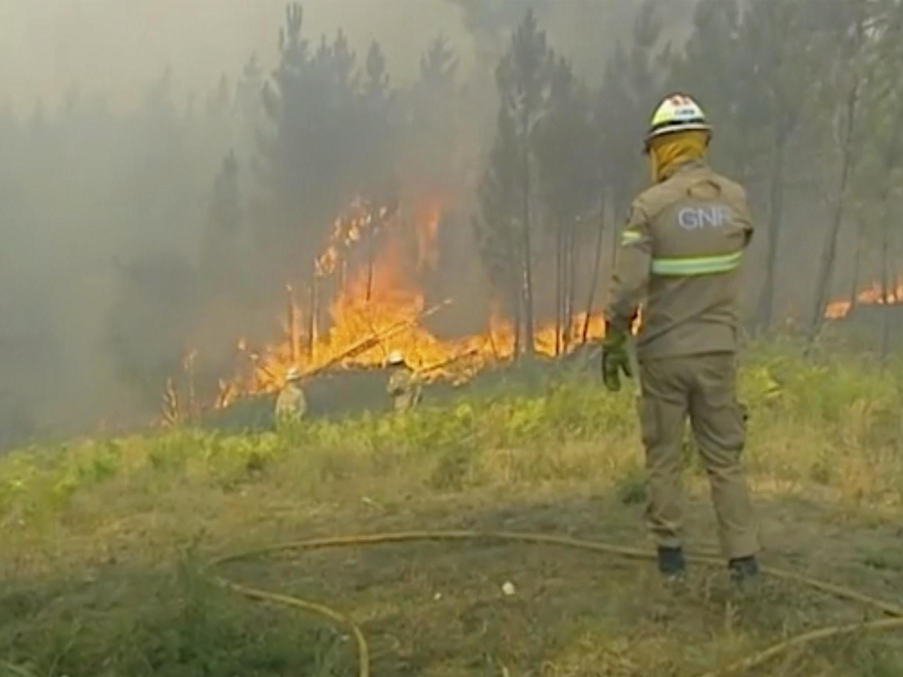 Emergency services try to extinguish the fire in Vila de Rei, Portugal. Portuguese authorities say 1,000 firefighters are working to contain wildfires that have injured eight firefighters and 12 civilians.