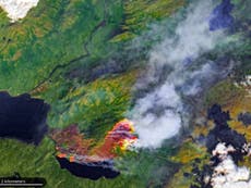 Huge swathes of the Arctic on fire, satellite images show