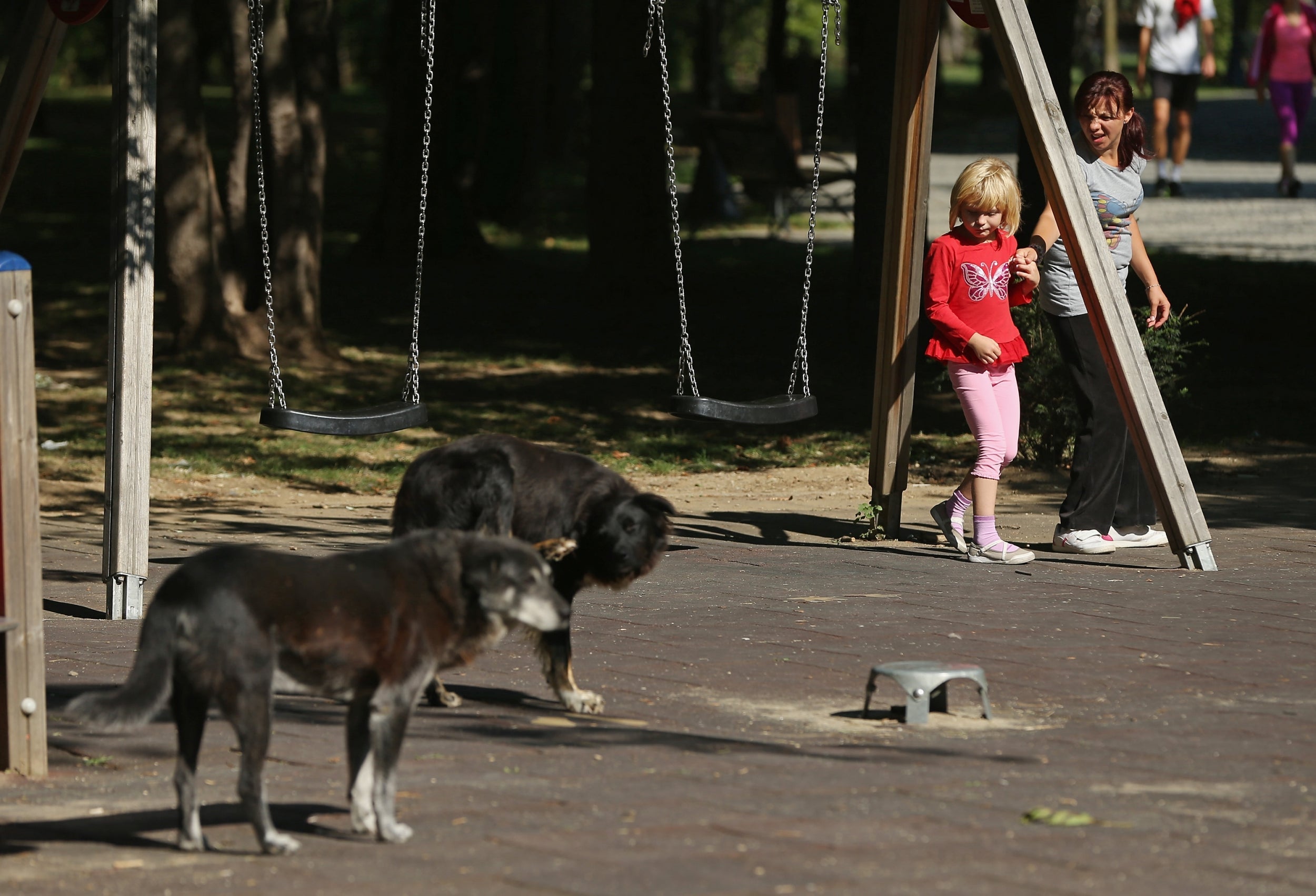 A mother pulls her child away from stray dogs in Romania