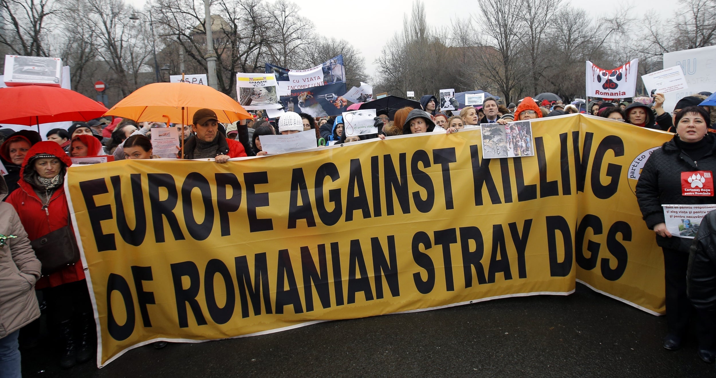 Romanian animals-rights activists hold a banner during a protest against a new law on stray dog culling