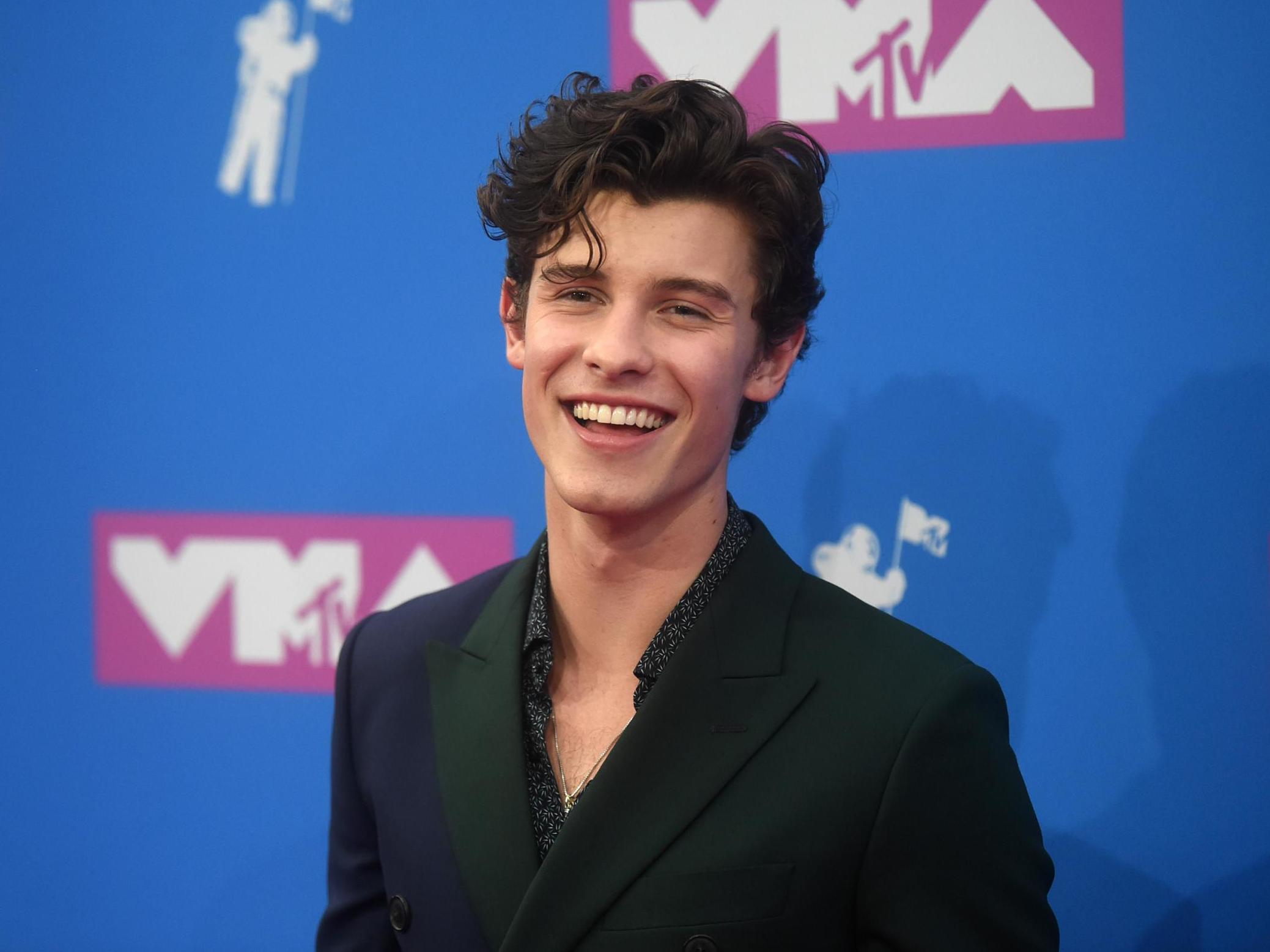 Shawn Mendes Short Wavy Black Hairstyle - Hairstyles