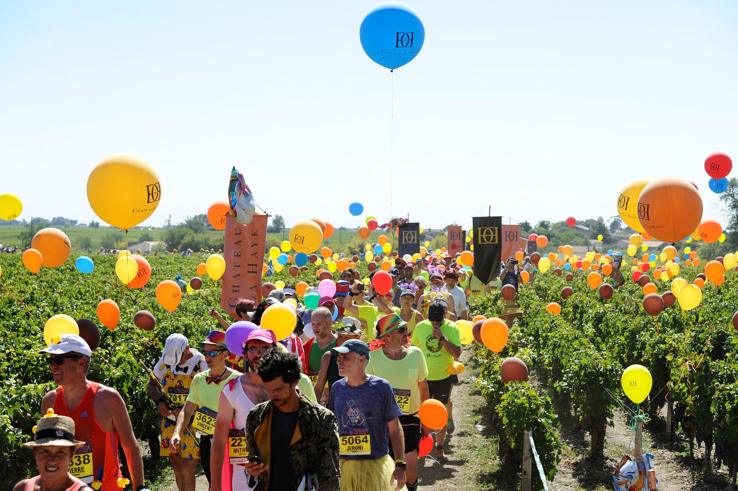 Warning: you will be sloshed during the Marathon du Medoc