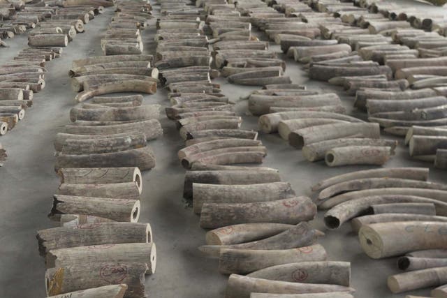 Elephant tusks confiscated in Singapore