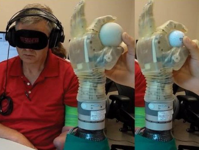 Walgamott uses electromyographic signals from residual arm muscles to move the prosthetic hand and manipulate a large lacrosse ball and small golf ball, all while blindfolded (George et al/Sci Robot/SWNS)