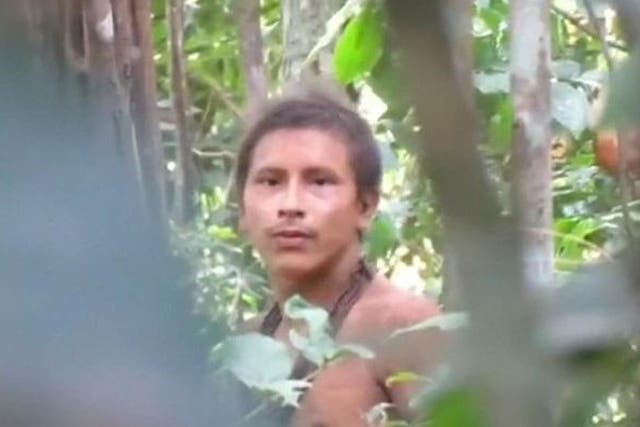 The uncontacted Amazon Awá tribe are among the world's most vulnerable communities
