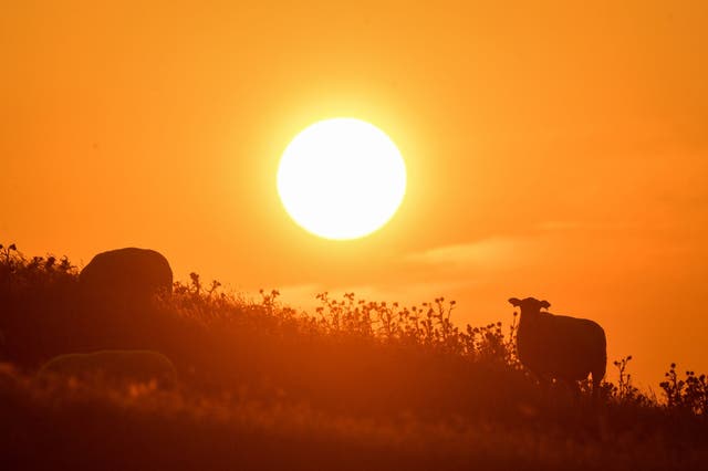 Temperatures soared on 25 July, breaking the UK record
