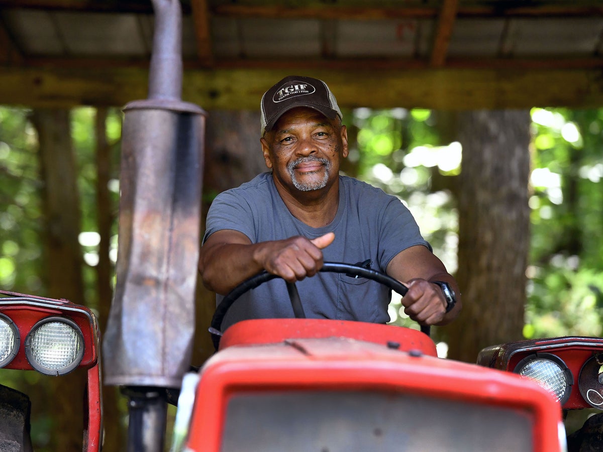 Living off the land: The ugly truth behind black agriculture in America |  The Independent | The Independent