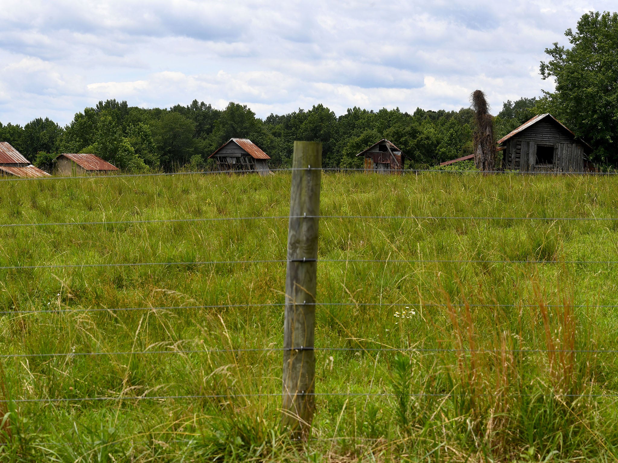 Buildings on farmland in Nathalie, Virginia