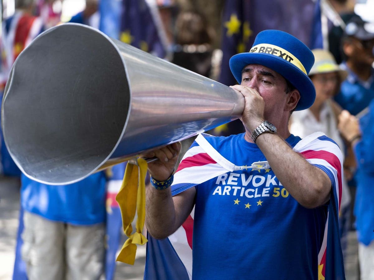 Mr Stop Brexit 'attacked by anti-Remain protesters'