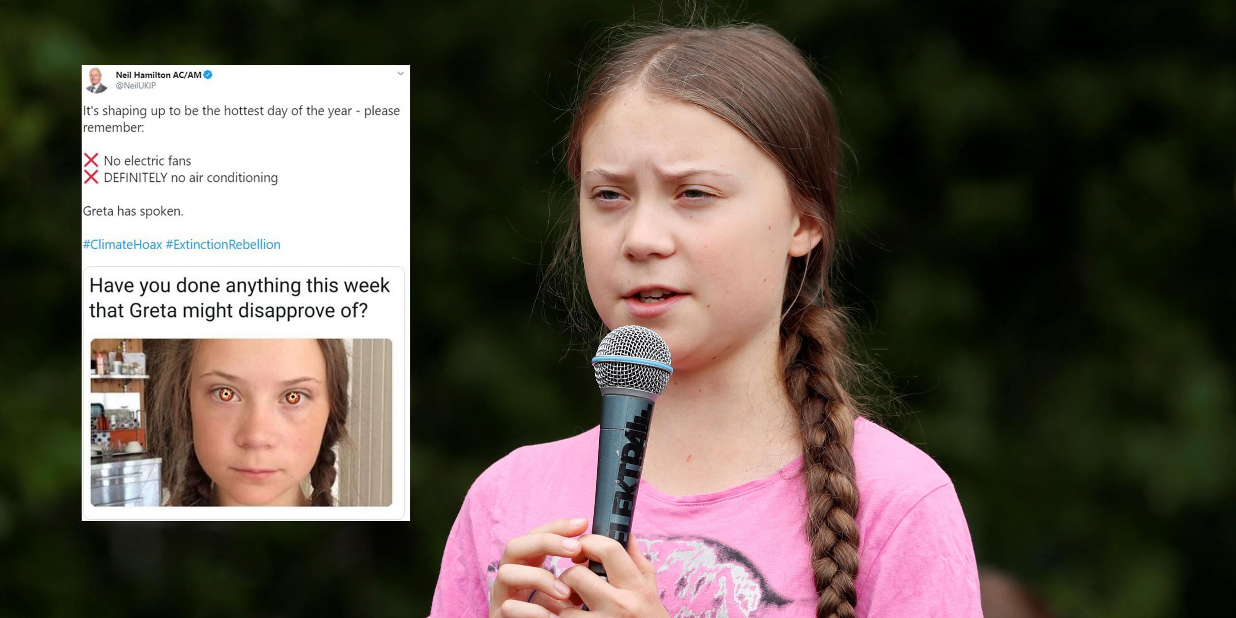 UKIP Wales leader condemned for tweeting meme mocking Greta Thunberg.