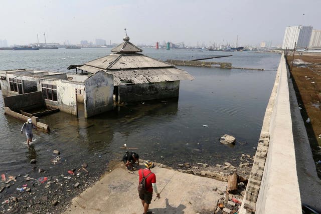 Indonesian president Joko Widodo urged the imminent construction of a giant sea wall to save northern Jakarta from sinking into the ocean
