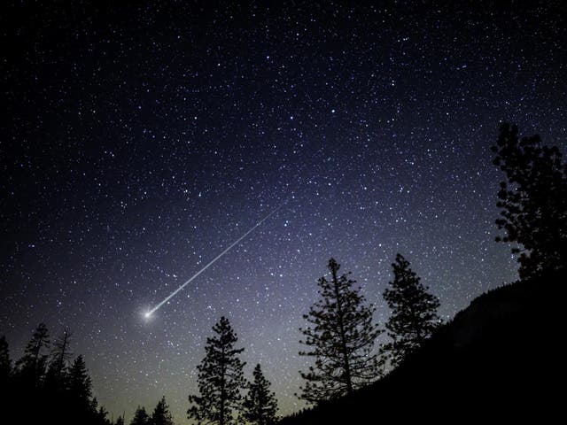 <p>The shower of shooting stars (file photo) is caused by dust coming off the Comet 96P Machholz</p>