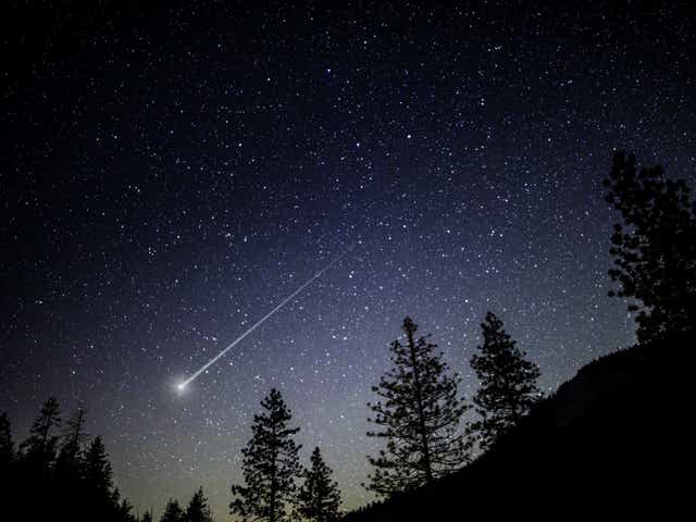 The shower of shooting stars (file photo) is caused by dust coming off the Comet 96P Machholz