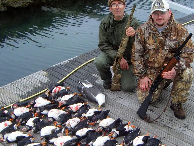 Trophy hunters are being told they can kill up to 100 puffins per hunting trip