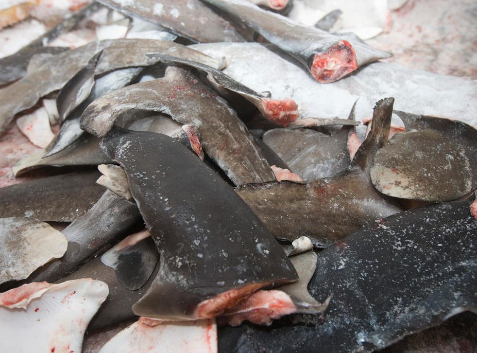Campaigners are calling on the government to ban exports of shark fins. Pictured are shark fins and tails on board a Taiwanese vessel