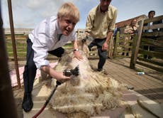 Johnson told to stop ‘playing Russian roulette’ with Welsh lamb