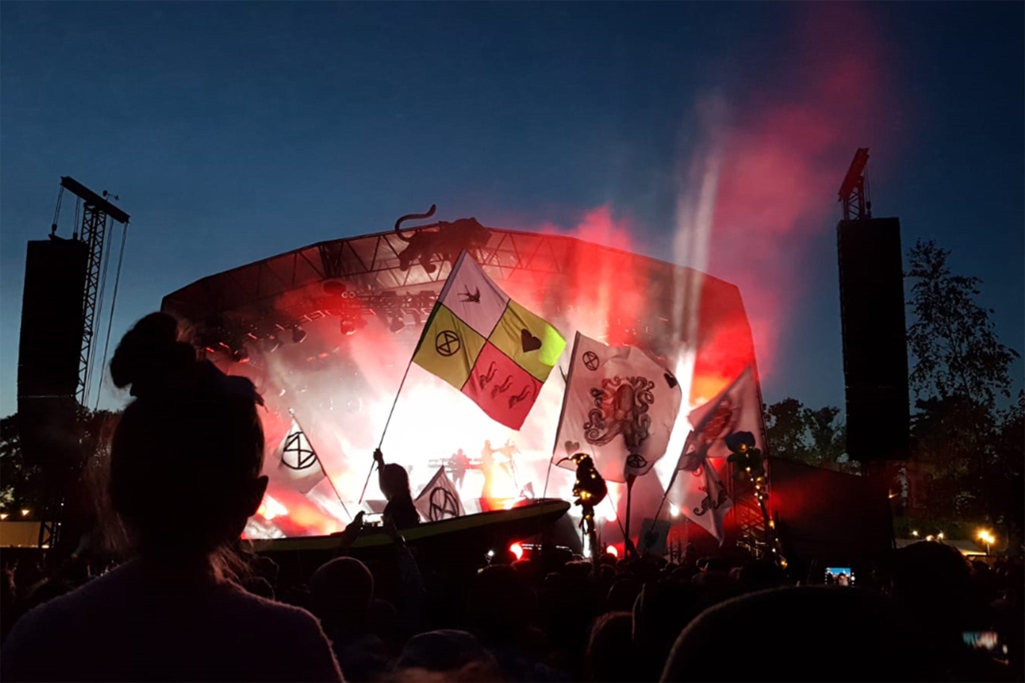 Extinction Rebellion flags fly in the crowd at the Womad festival