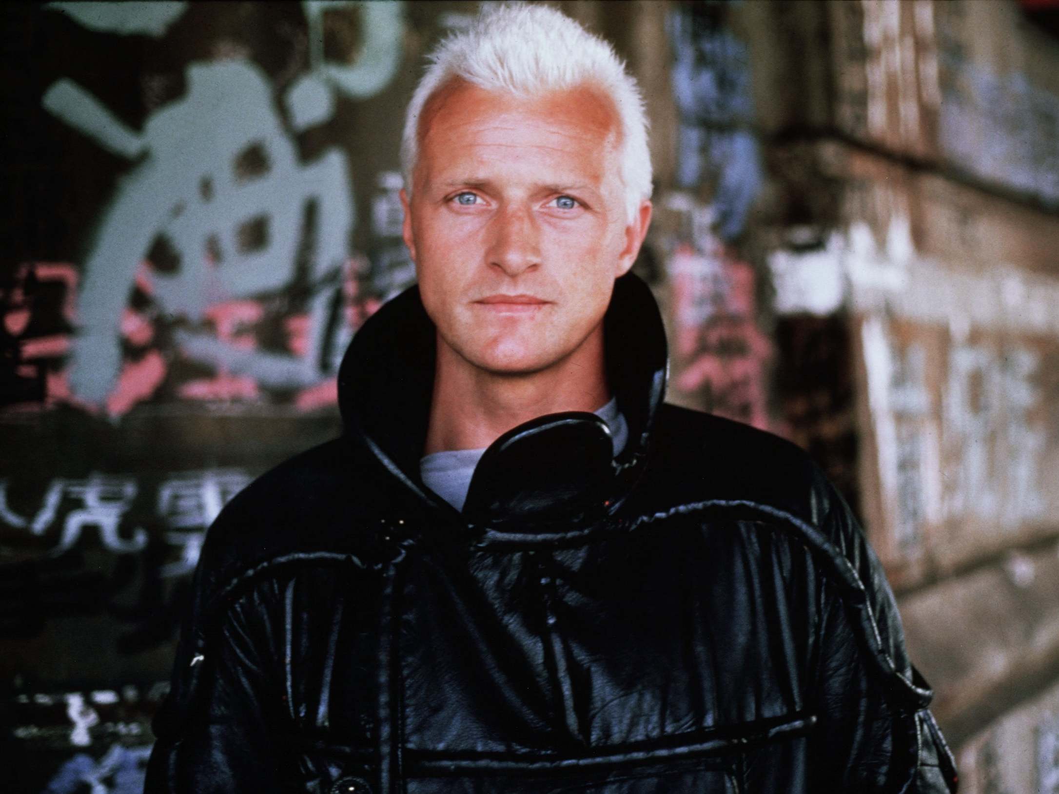 Rutger Hauer: Actor and Blade Runner star forever associated with android  role | The Independent | The Independent