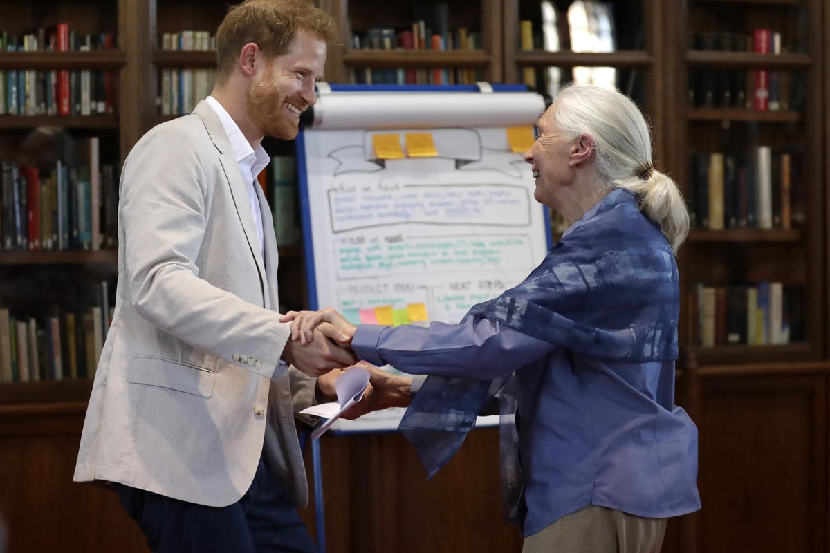 https://static.independent.co.uk/s3fs-public/thumbnails/image/2019/07/30/14/prince-harry-dr-jane-goodall-0.jpg?width=1200&height=800&crop=1200:800