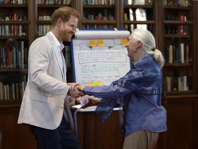 Prince Harry and Dr Jane Goodall