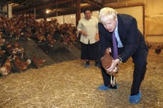 Johnson to meet farmers in Wales as pound slumps amid no-deal fears